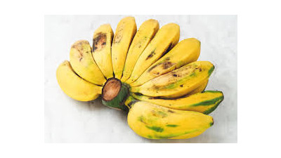 Saba 바나나