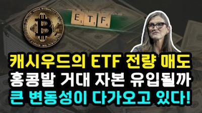 캐시우드 비트코인 ETF BITO 전량 매도 ARKB 비중 높인다 홍콩발 유입 크게 늘어날까? / 채굴 수수료 급감과 반감기 효과 마이크로스트래티지 추가 매입 / 이더리움