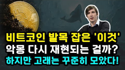 비트코인 발목 잡은 '이것' 결국 SEC 로빈후드 규제? 고래는 꾸준히 매집 / 스테이블코인 상승 VDD 하락 시장 안정세 하지만 불확실성 여전