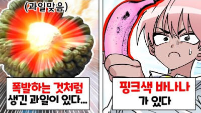 이런게 왜 실제로 있어??? [이왜진 과일 월드컵]