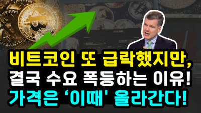 비트코인 반감기 지나고 조정 받은 이유 베이비부머 자금과 홍콩 ETF 수요 결국 급증한다 아서 헤이즈 비트코인 100만 달러