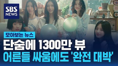 단숨에 1300만 뷰…어른들 싸움에도 '완전 대박' / SBS / 모아보는 뉴스